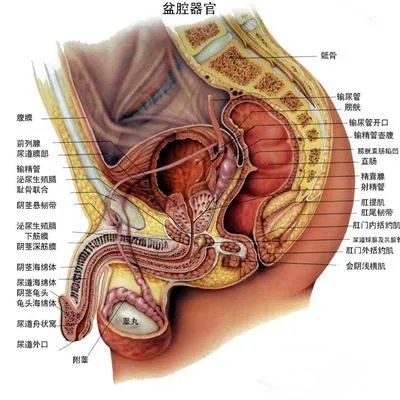 前列腺稍大怎么回事?