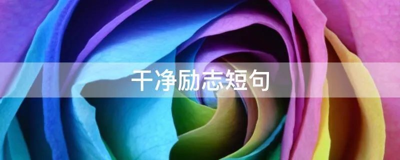 干净励志短句