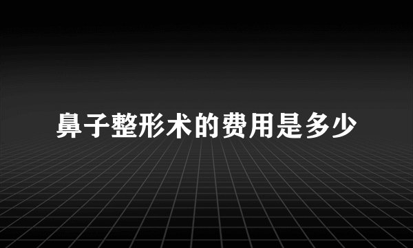 鼻子整形术的费用是多少