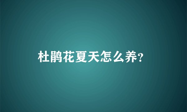 杜鹃花夏天怎么养?