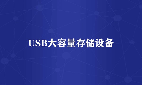 USB大容量存储设备