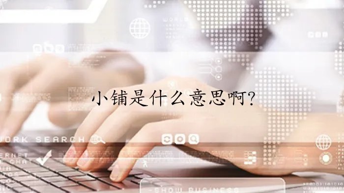 小铺是什么意思啊?