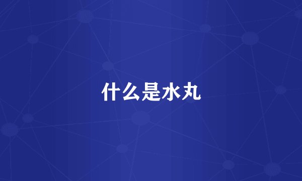 什么是水丸