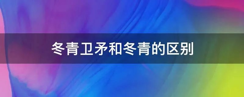冬青卫矛和冬青的区别