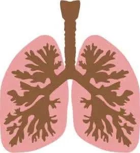 低分化鳞癌症状?