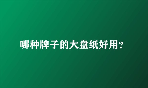 哪种牌子的大盘纸好用？