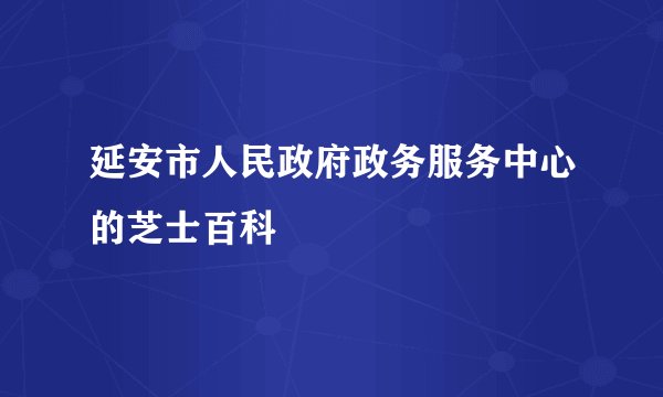 延安市人民政府政务服务中心的芝士百科