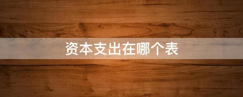 资本支出在哪个表