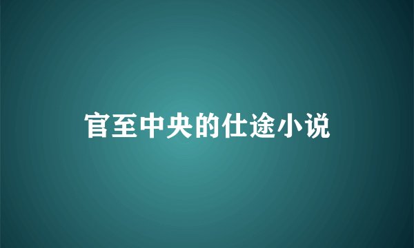 官至中央的仕途小说