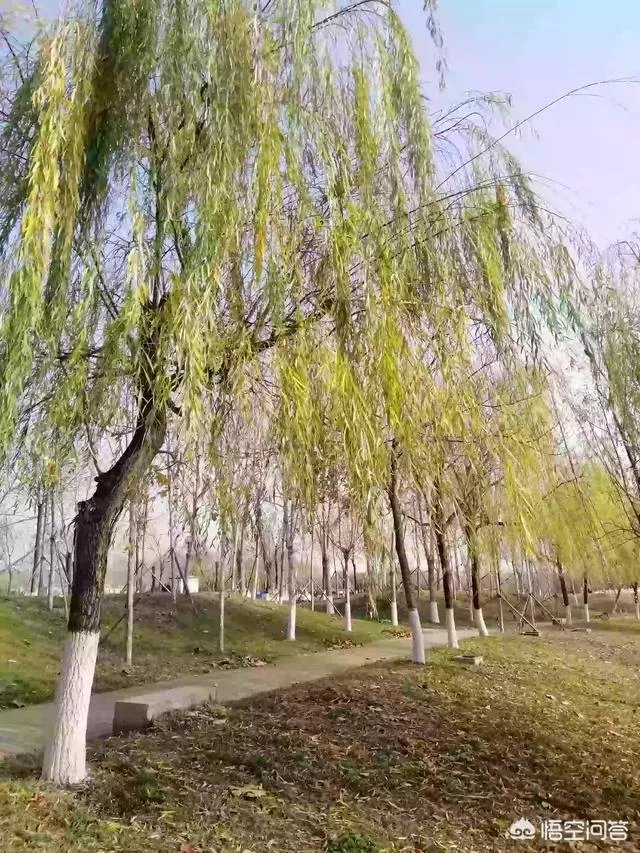 现在的90后是不是真的已经老了?