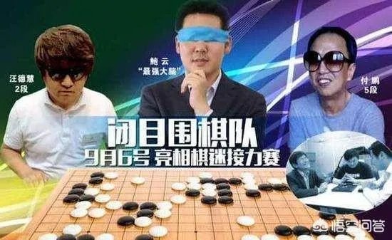 最强大脑鲍橒那么聪明,为什么只是围棋业余6段?
