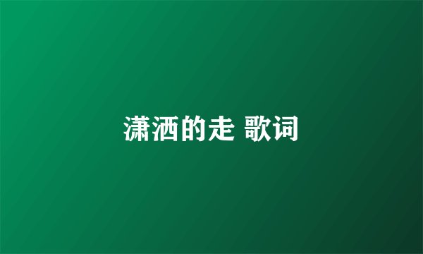 潇洒的走 歌词