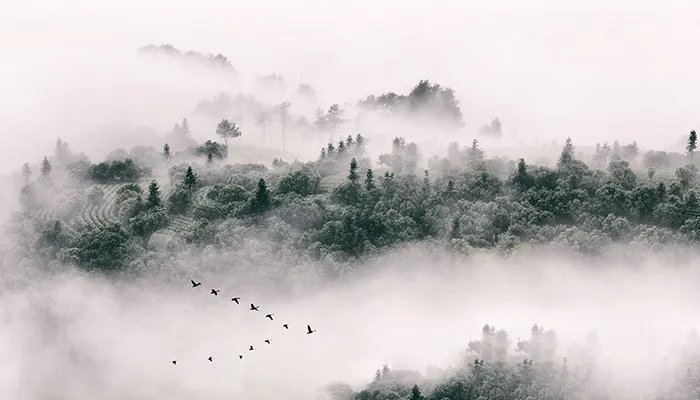 什么是负离子 负离子是什么