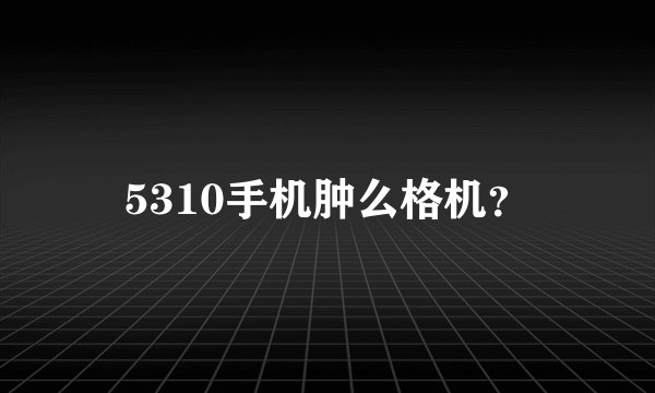 5310手机肿么格机？