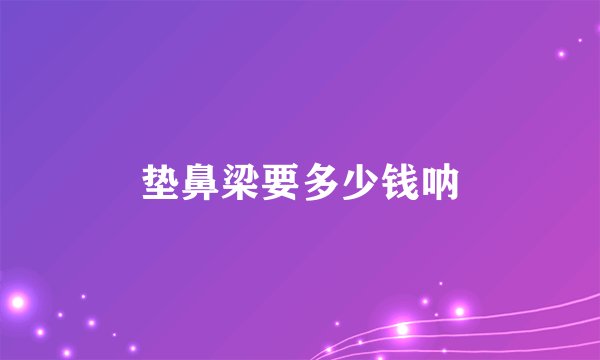 垫鼻梁要多少钱呐