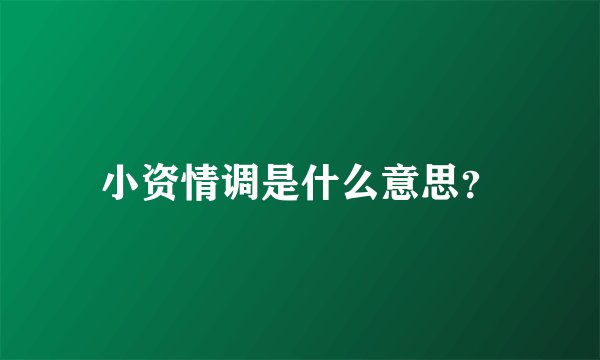小资情调是什么意思？