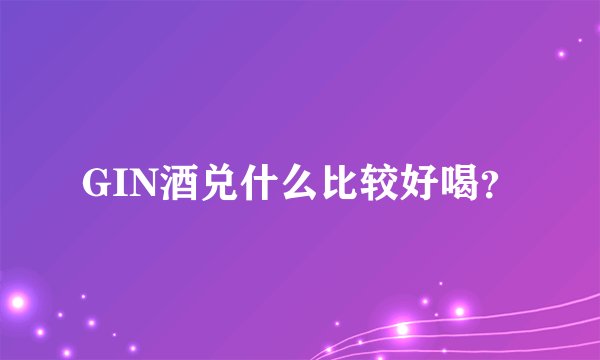 GIN酒兑什么比较好喝?