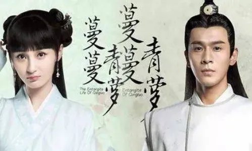 桩桩的全部小说？