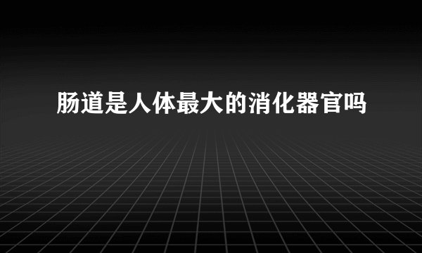 肠道是人体最大的消化器官吗