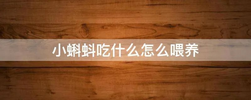 小蝌蚪吃什么怎么喂养