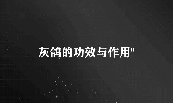 灰鸽的功效与作用