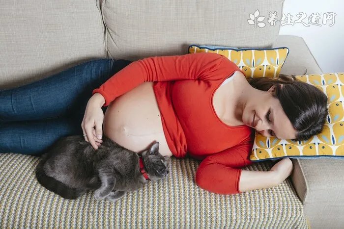 鲫鱼肚子里有白色的面条状
