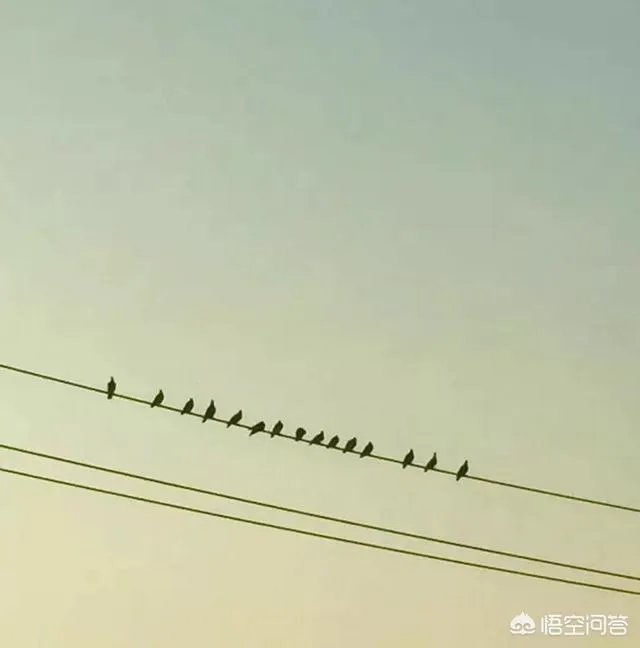 有什么好看的、景色秀丽的壁纸?