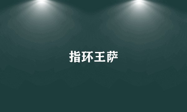 指环王萨