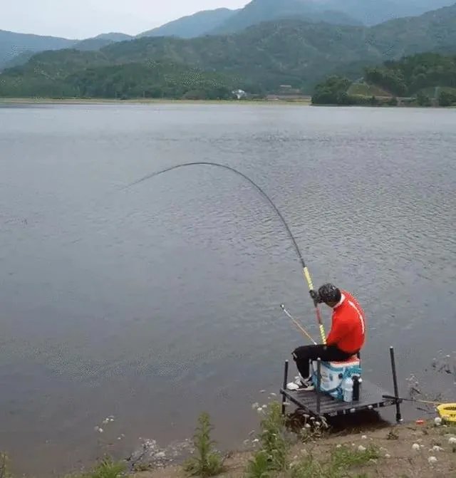 为什么邓刚钓鱼能吸引那么多粉丝,一路疯涨2000多万?