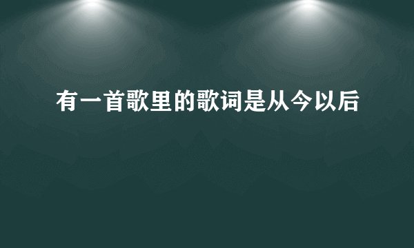 有一首歌里的歌词是从今以后