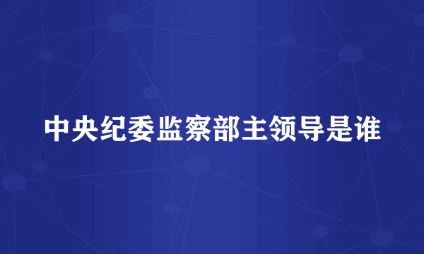 中央纪委监察部主领导是谁