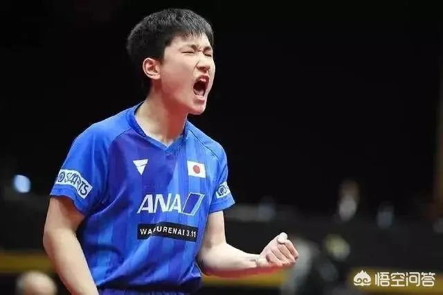 亚洲杯樊振东拒绝爆冷4-1逆转张本智和晋级决赛。双方实力差距真有这么大吗?