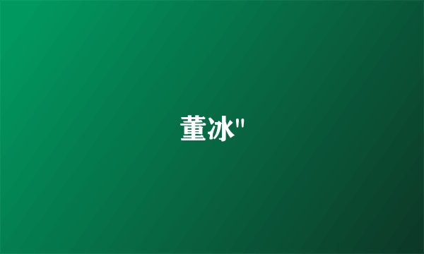 董冰