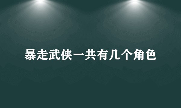 暴走武侠一共有几个角色