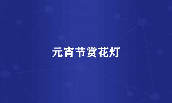 元宵节赏花灯