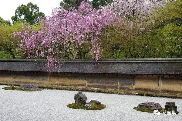 枯山水之置石造景艺术,就是这么有魅力~