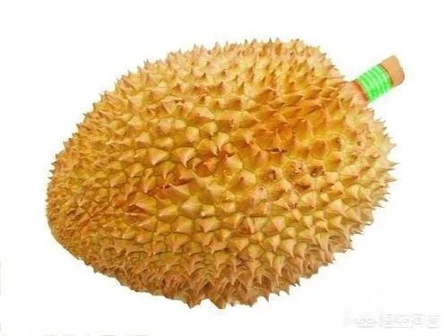 榴莲怎么吃图解?