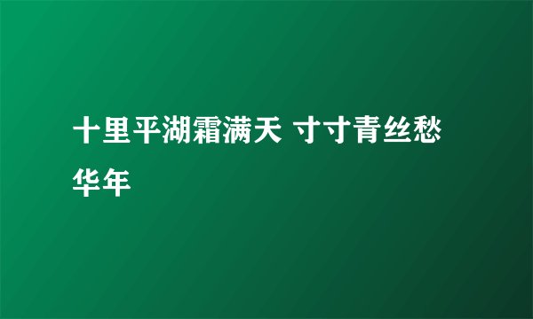 十里平湖霜满天 寸寸青丝愁华年