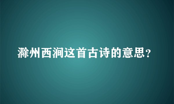 滁州西涧这首古诗的意思?