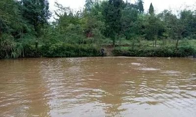 蹚浑水是什么意思