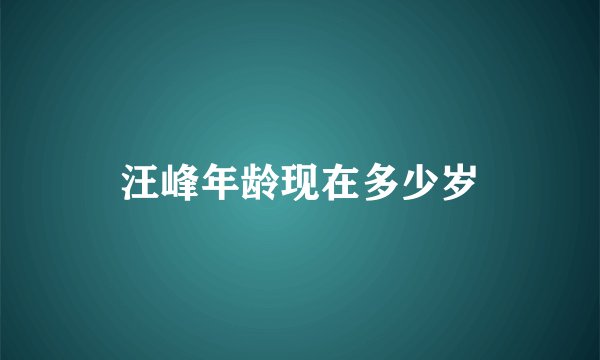 汪峰年龄现在多少岁