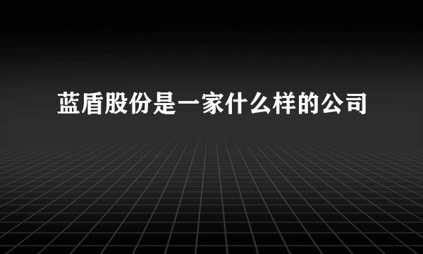 蓝盾股份是一家什么样的公司
