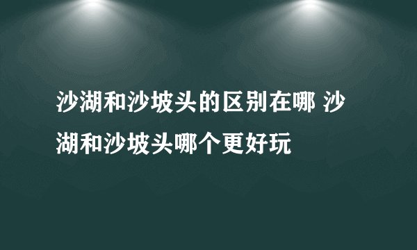 沙湖和沙坡头的区别在哪 沙湖和沙坡头哪个更好玩