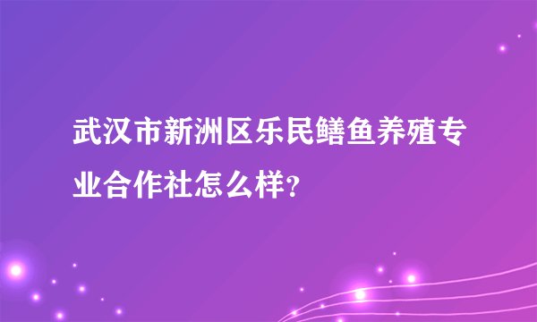 武汉市新洲区乐民鳝鱼养殖专业合作社怎么样？
