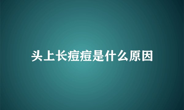 头上长痘痘是什么原因