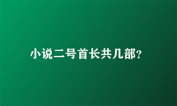 小说二号首长共几部？