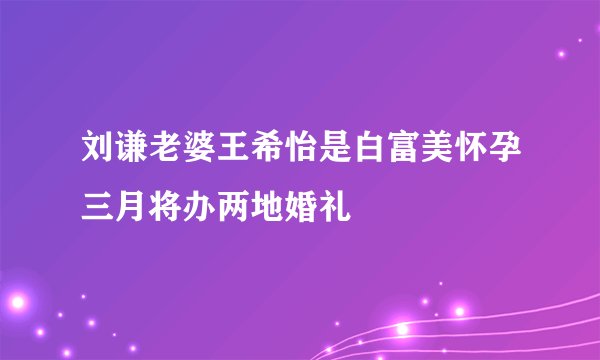 刘谦老婆王希怡是白富美怀孕三月将办两地婚礼