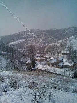 黄叶村的介绍