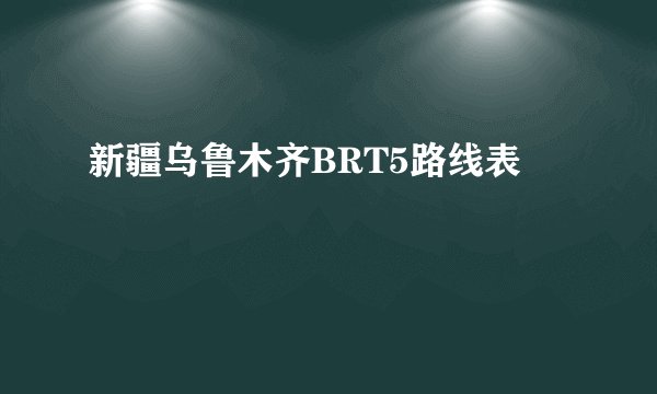 新疆乌鲁木齐BRT5路线表