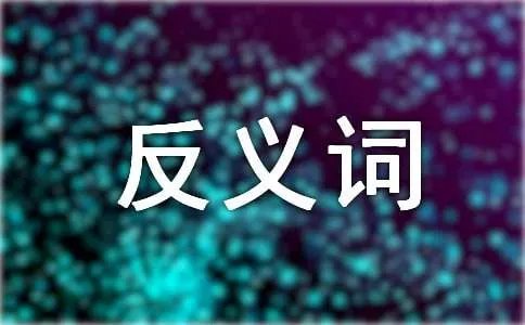笼罩的反义词